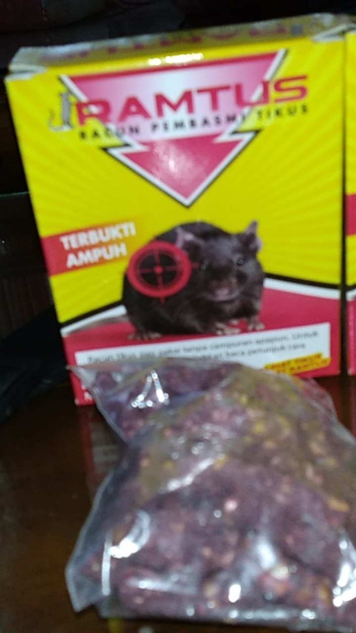 Umpan Jebakan Tikus Paling Ampuh Ramtus Racun Pembasmi Tikus Mati Kering Obat Pembunuh Tikus 2 Pack