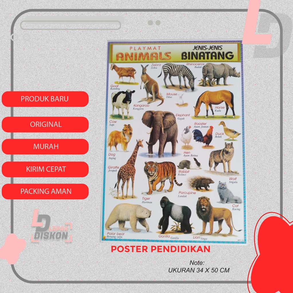 

Poster Edukasi Mengenal Bintang