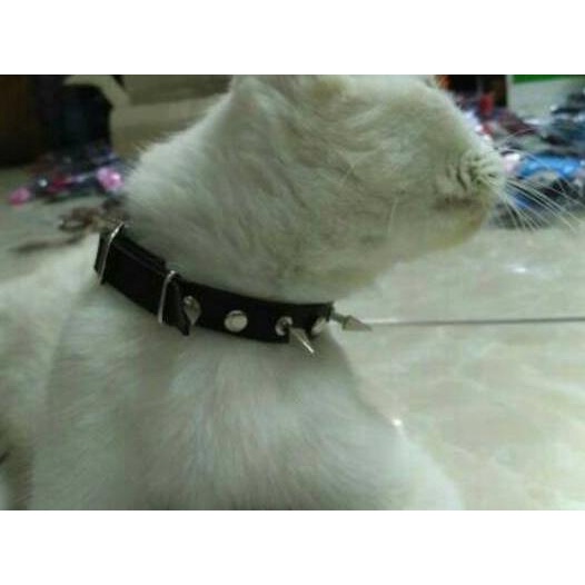 ✳ Kalung Duri Kucing - Kalung Anjing Ras Kecil Kalung Musang Kalung Kucing Duri ○