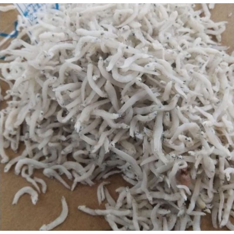 

teri medan