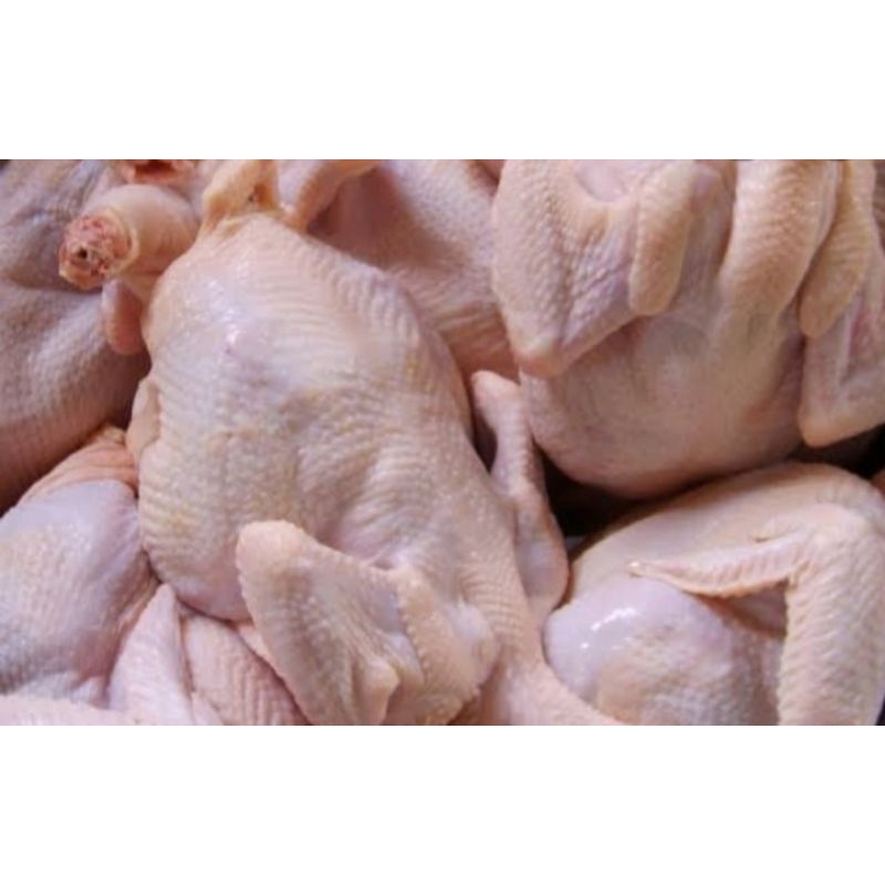 

ayam segar
