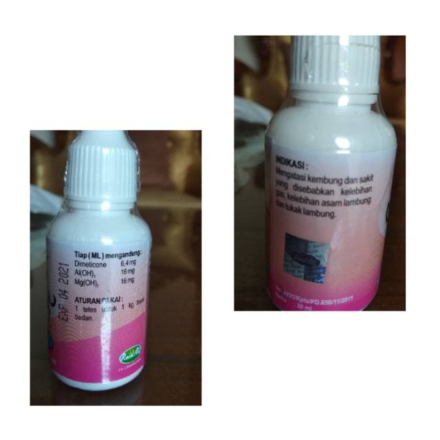 Obat kembung kucing anjing 30 ml Raid all 30ml