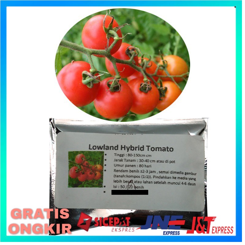 BENIH TOMAT HIDROPONIK BIBIT TANAMAN BENIH TANAMAN BENIH BUAH BENIH SAYUR BIBIT BUAH