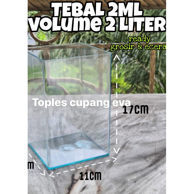 toples cupang ukuran 2L by juragan toples. bening seperti kaca dan tebal 2ml tanpa sambungan