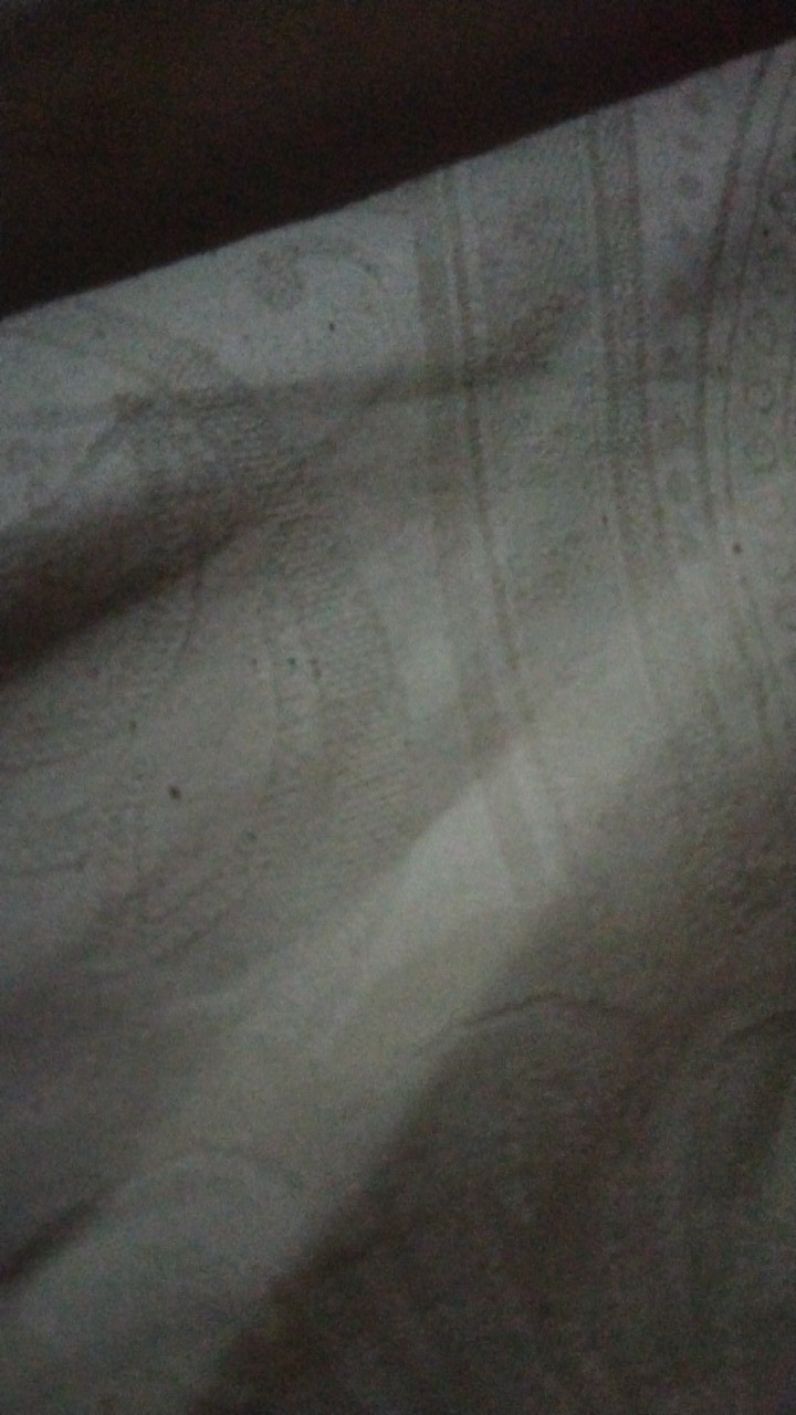 Mini Mixer Electric Hand Pengocok Telur Minuman Elektrik Hand Kitchen