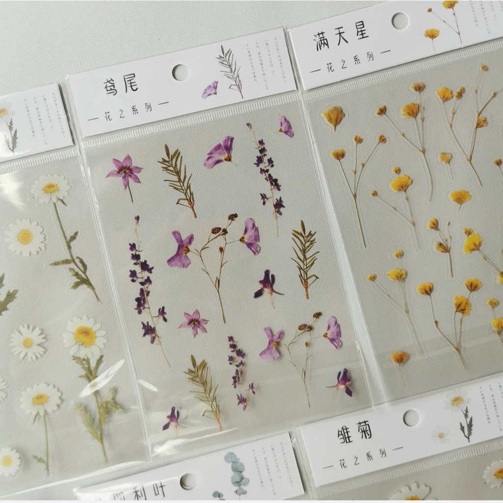 

Vintage Transparent Sticker Pack - Flowers / Retro / Plants Stickers / Stiker