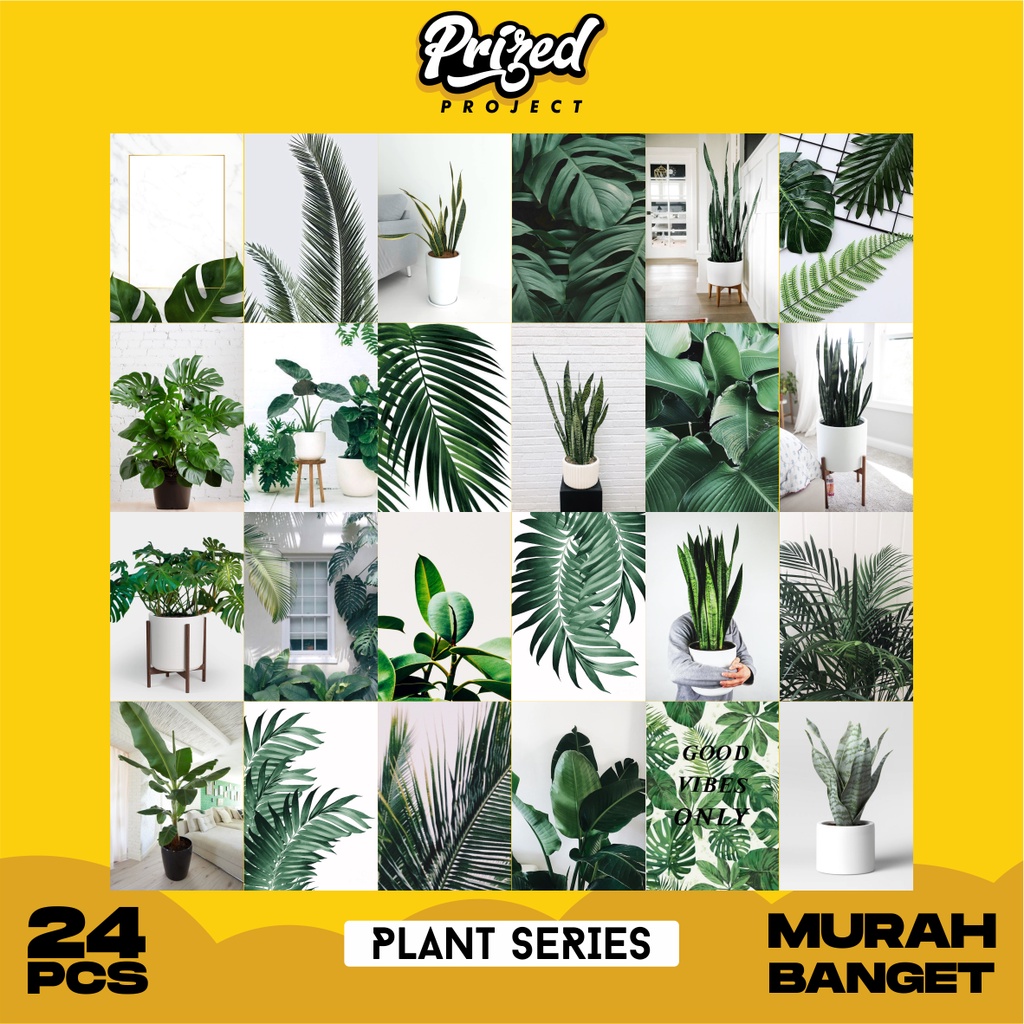 Poster Dinding Aesthetic | Poster Aesthetic | Poster Murah | Isi 24 Piece-PLANT