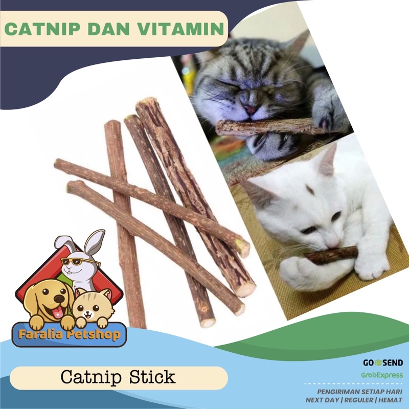 Catnip Stick Snack Pure isi 5 pcs Gigitan Kucing Catmint Cat Mainan Nip Mint Kitten Stik