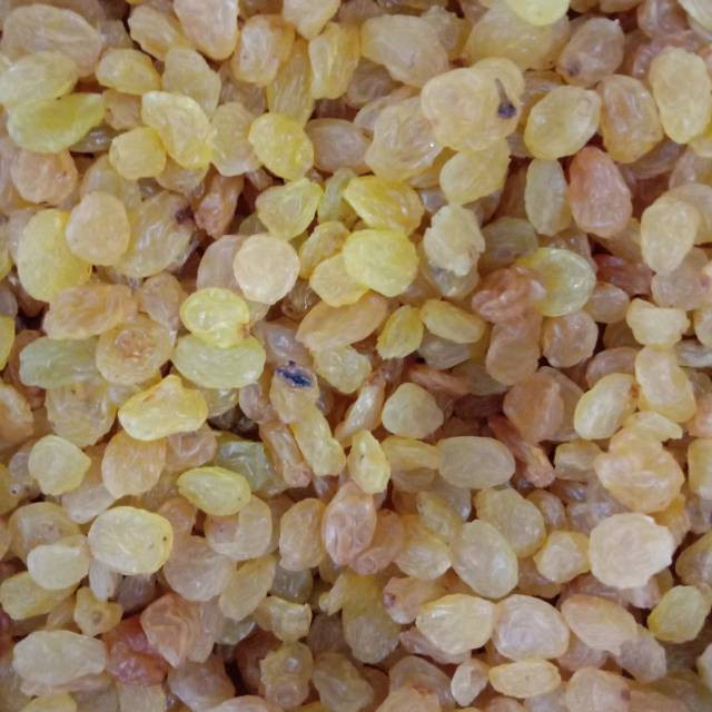 

kismis fresh manis golden raisin 5000gr