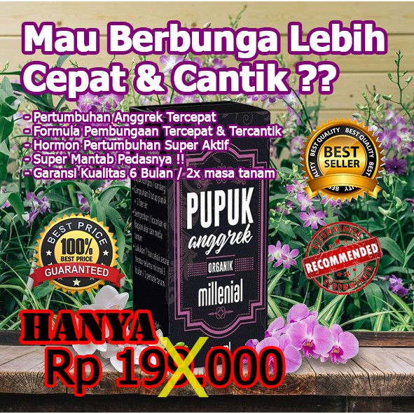 Pupuk Anggrek Bagus,Pupuk Anggrek Organik ,Pupuk Anggrek Namira,Pupuk Anggrek Dendrobium Gaviota