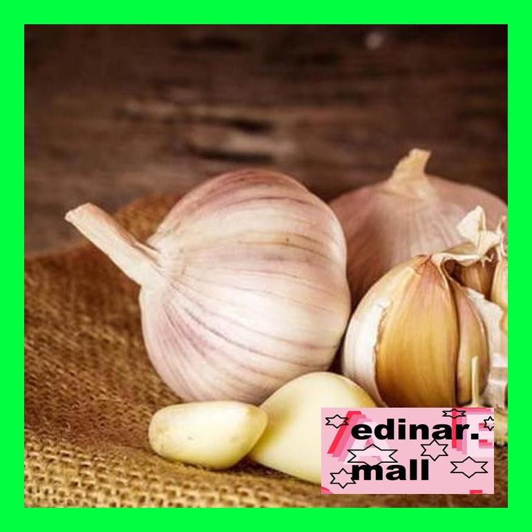 

50Siusbu Bawang Putih Kulit Besar (Ready Stock) Bud050S