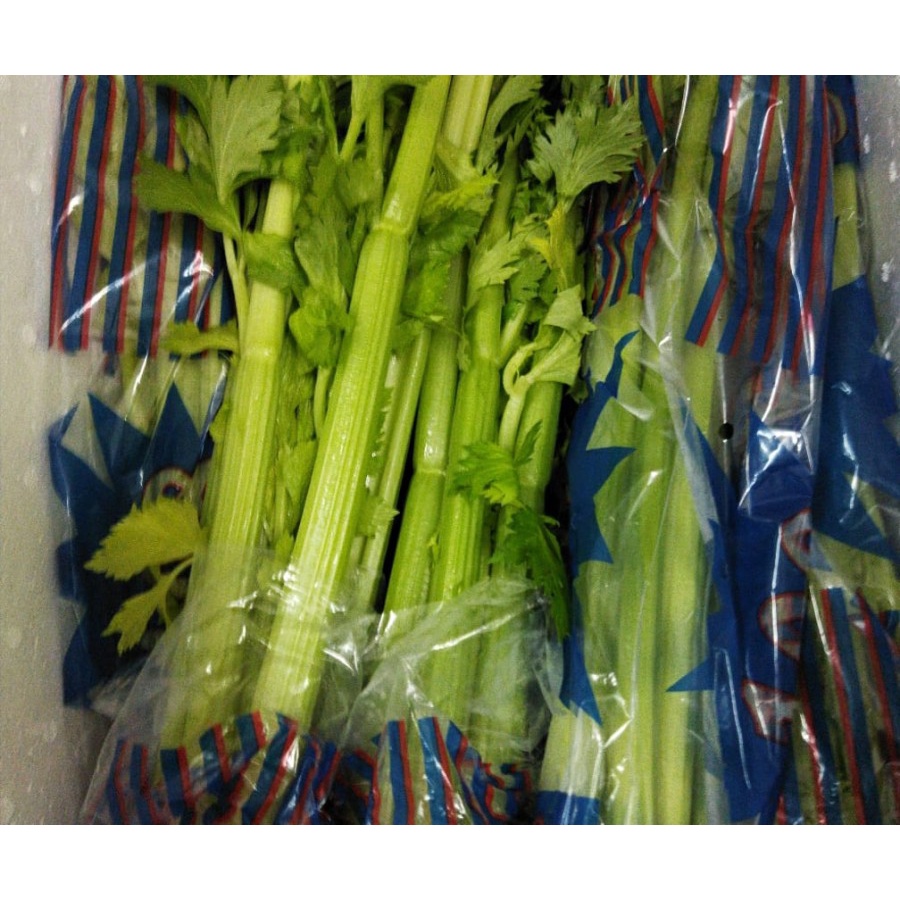

RB Batang Seledri Stik Celery Stick IMPOR 1 kg