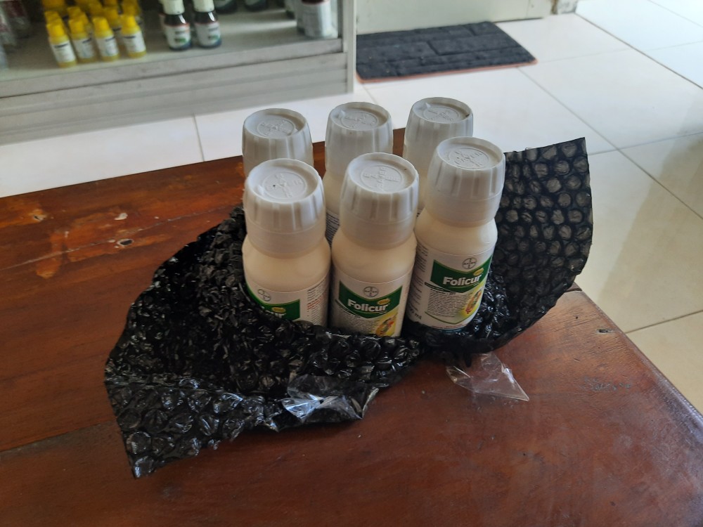 Folicur Gold 430sc 100ml I Fungisida