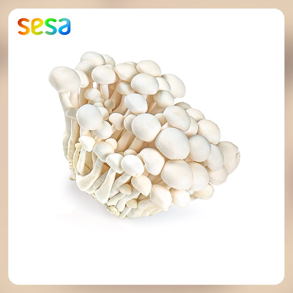 

Jamur Shimeji Putih Natural 100 g