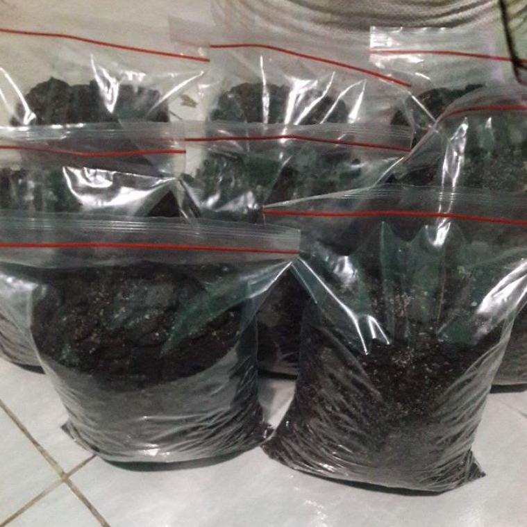 

TERLARIS Bubuk Oriio / Oweo crumb tambahan toping kiloan berat 1kg ☆ 871