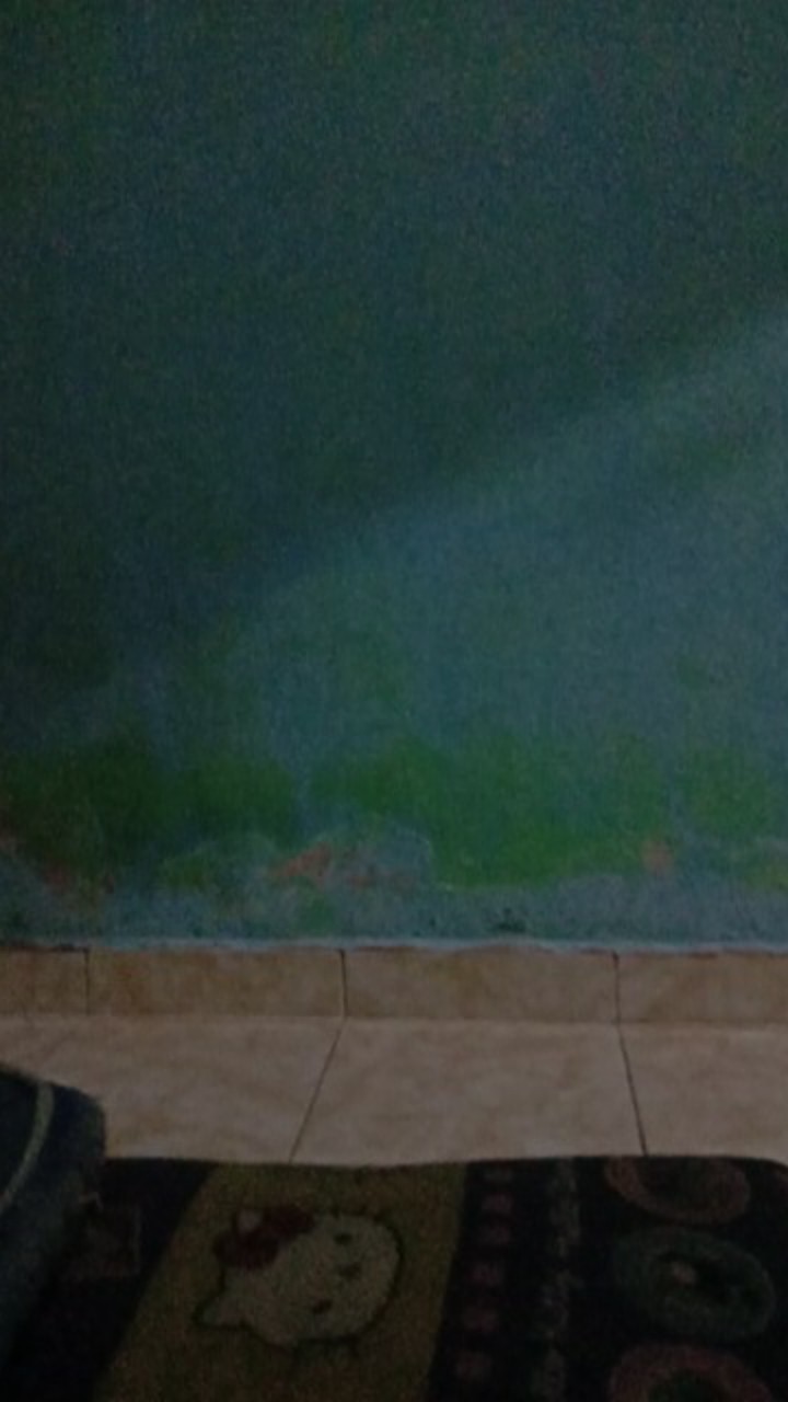 M-l-xl-xxl Batik Wanita Asj Sa Hrb026 Kenongo Kemeja Tosca Pendek