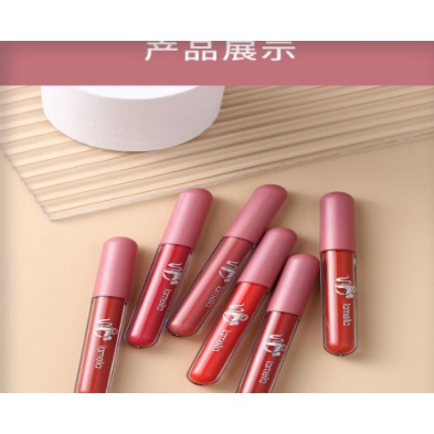 Lameila Lip Glaze Matte Lipstick Anti Air Lipstik Velvet Lip Gloss CJR 1041