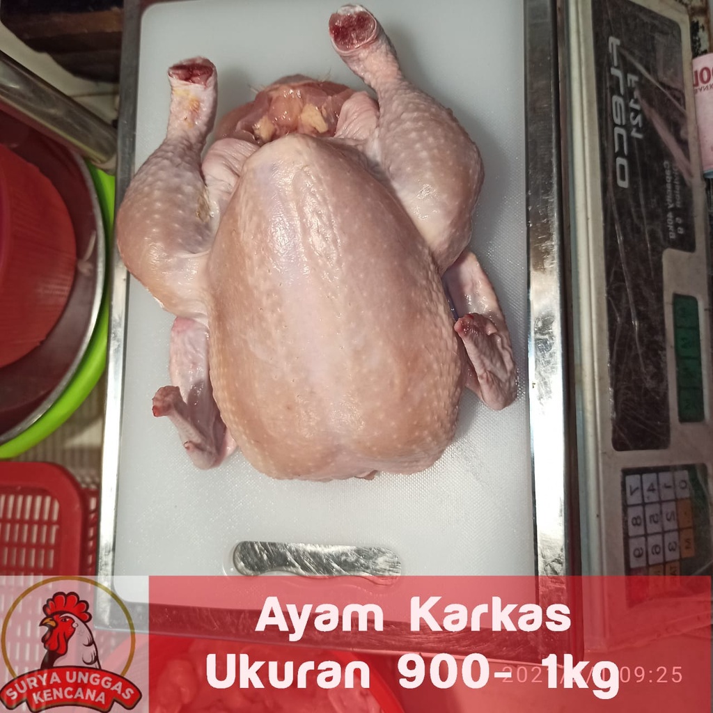 

Ayam Negeri Karkas (tanpa kaki& kepala) Ukuran 900gram - 1kilo