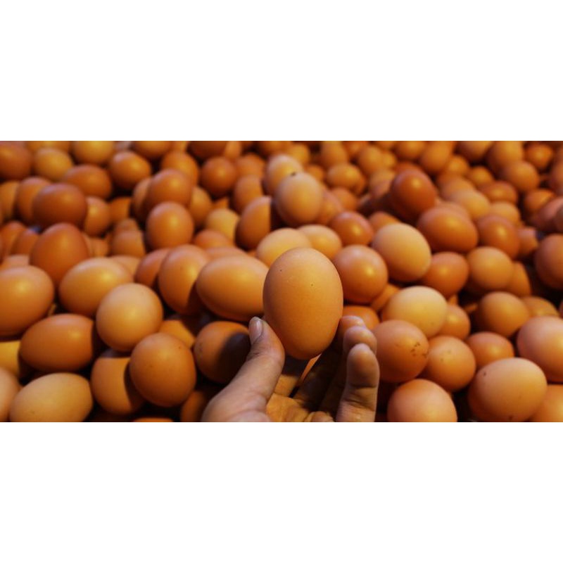 

telur perball/peti