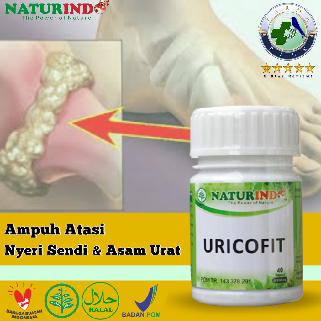 

Obat Asam Urat, Nyeri Sendi - Herbal Naturindo Uricofit Ampuh Atasi Asam Urat , Kaki Bengkak dan Menurunkan Kadar Asam Urat