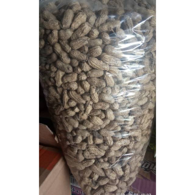 

KACANG KULIT ENAK GURIH