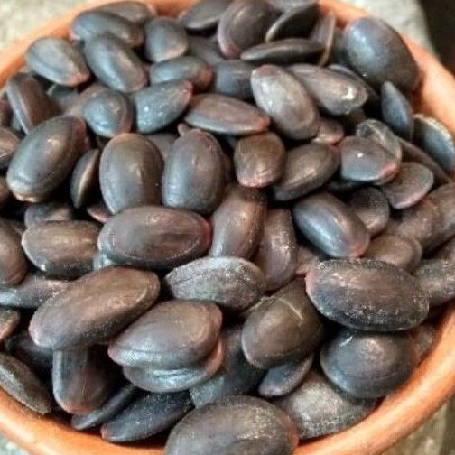 

Biji Kedaung/Kedawung 1kg