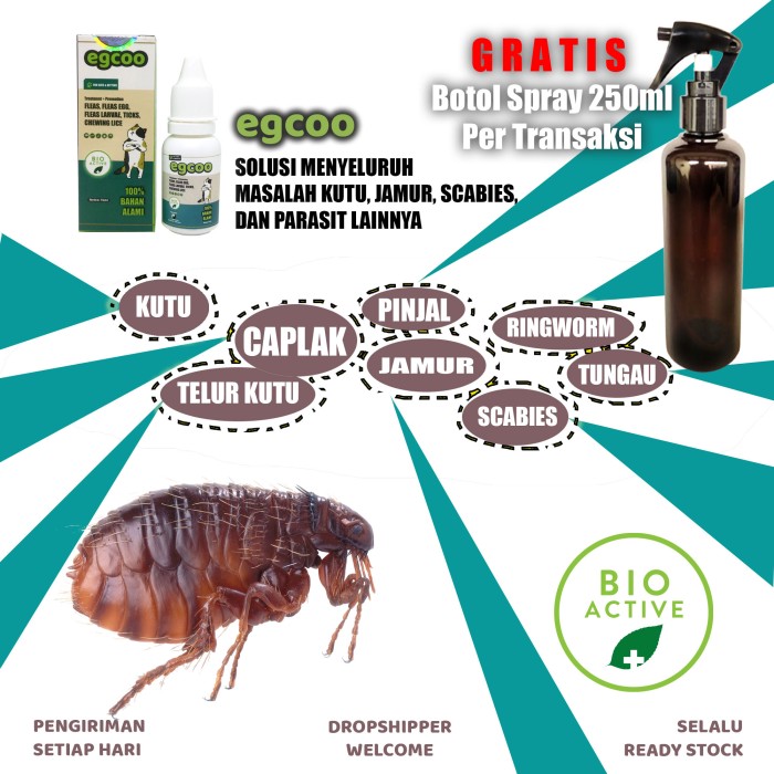 EGCOO - Obat Kutu Kucing - Aman untuk Anak Kucing, Hamil, Menyusui
