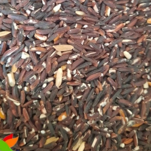 

Beras Hitam Curah Kemasan 500 Gram