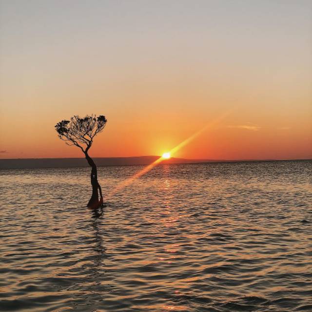 sarungbatik.muqoddam