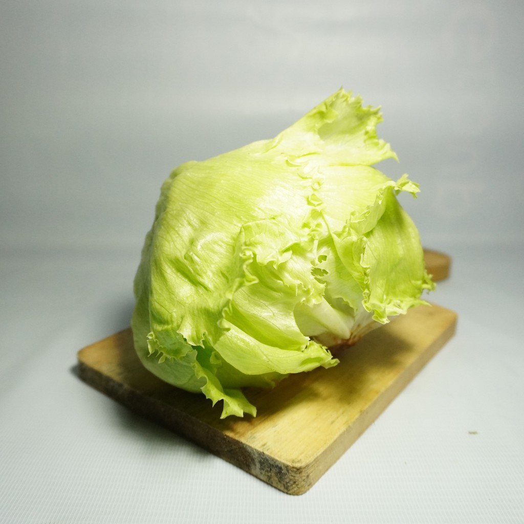 

Sayuran Segar Lettuce Head / Iceberg Lettuse 1Kg