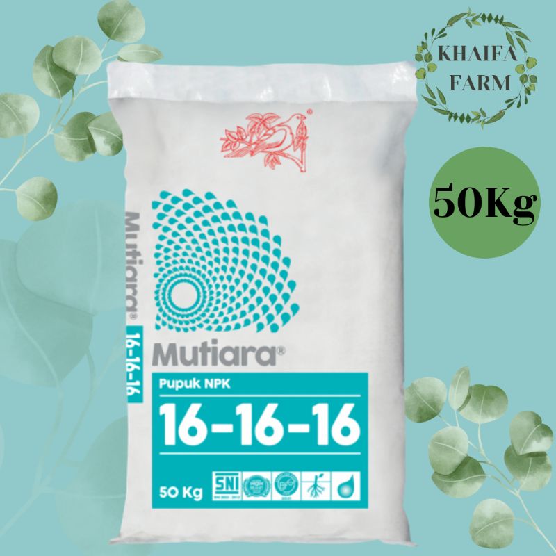 NPK Mutiara 161616 (50Kg/Zak)