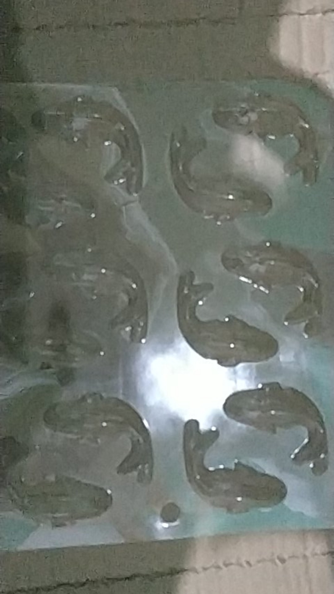 Cj Cetakan Coklat Cokelat Craft Koi Plastik 12 Cav