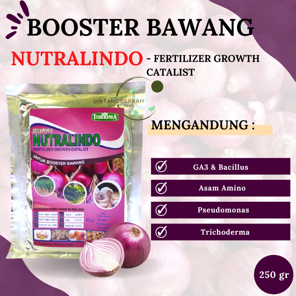 Pupuk Perangsang Umbi Bawang, Booster Pelebat Umbi Bawang, Pupuk Pembesar Bawang Bombai