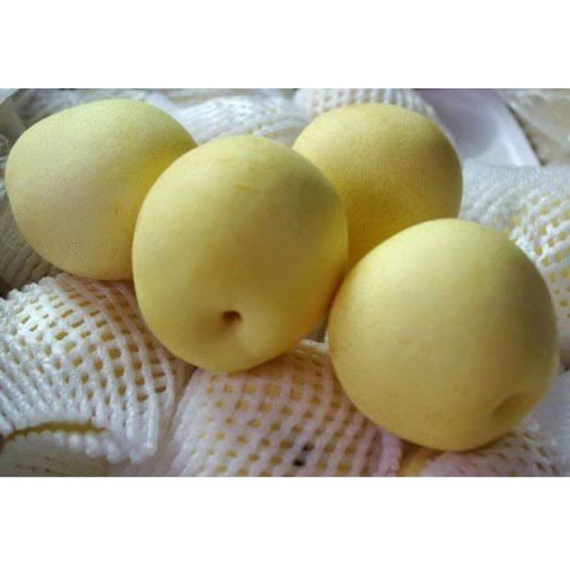 Pear Century Pir Century 0,5 - 1 kg
