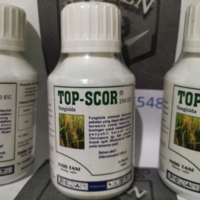 ⭐⭐⭐⭐⭐ Fungisida TOP-SCORE 100 ml Difenokonazol 250 g/l