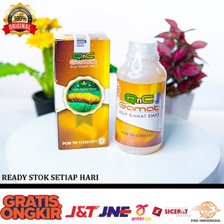 Jual Obat Alami Mual, Mual Pada Ibu Hamil, Obat Alami Muntah, Obat