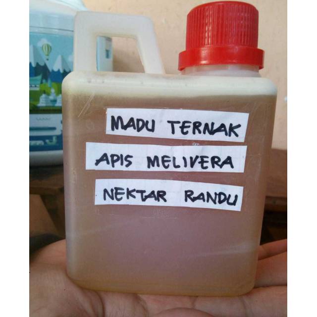 

Madu randu
