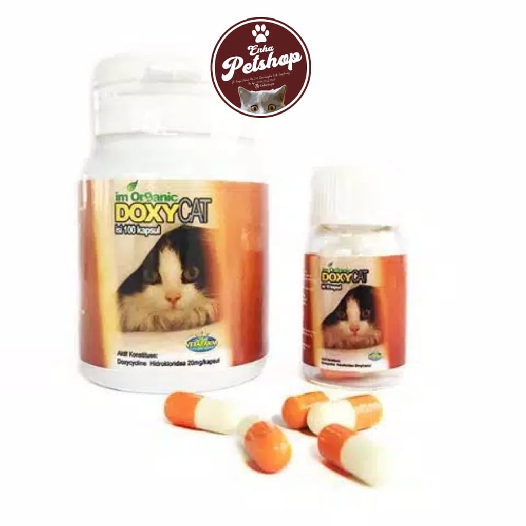 Obat Flu - Im Organic Doxy Cat/Kapsul