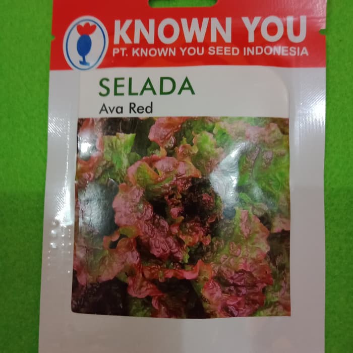 

Unik Benih selada /lettuce, AVA RED, Known You, Original pack Murah