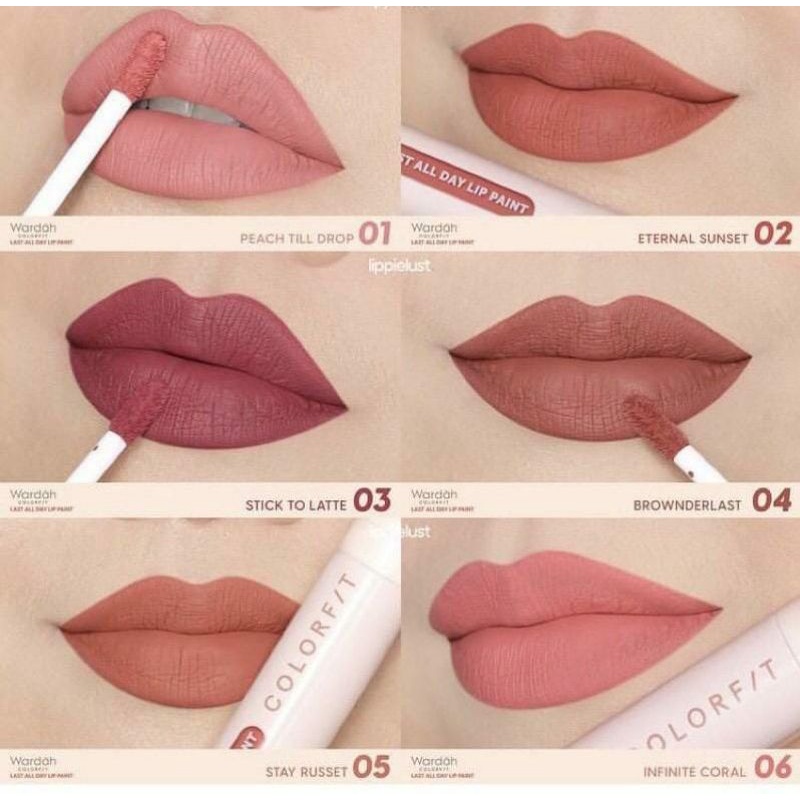 WARDAH Colorfit Last All Day Lip Paint 42g- Original 100%