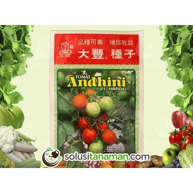 

UNIK Benih Sayuran Tomat AndhiniF1@5g Biji Bibit Sayur Tanaman Buah Organ 2 SEPTEMBER