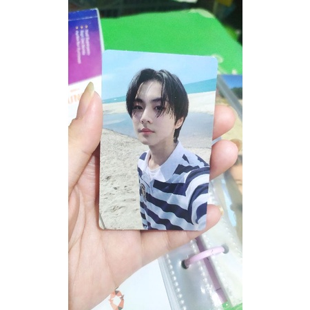 pc bene tamed dashed jungwon (booked)