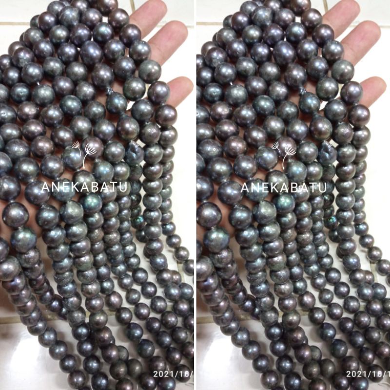 MUTIARA AIR TAWAR BAROK MODEL BULAT WARNA HITAM Premium