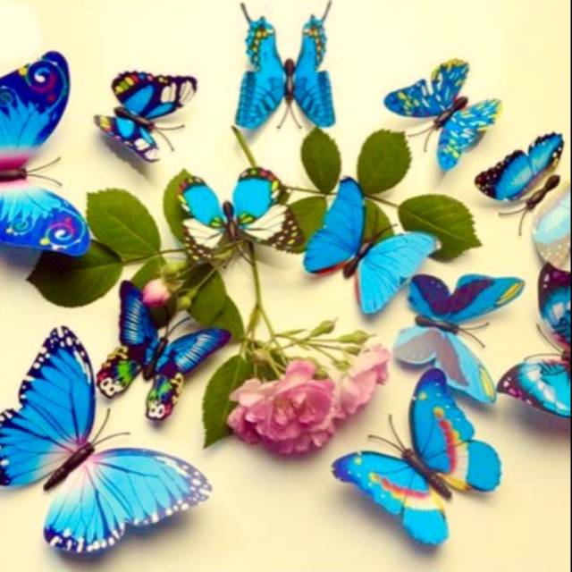 Wallsticker kupu2 3d 🔥 hot seller