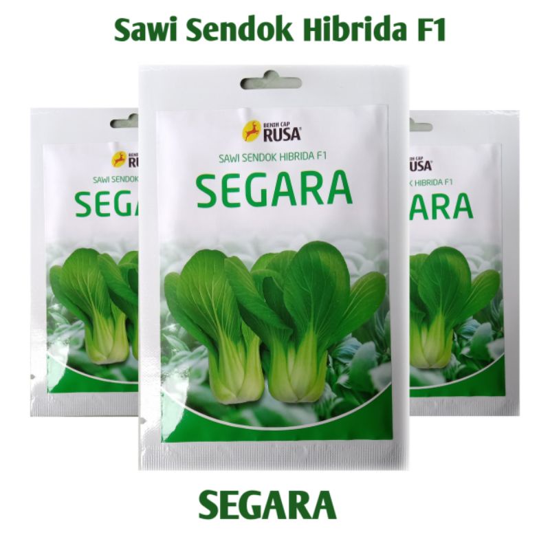 Benih pakcoy sawi sendok Hibrida F1 segara 10 gram(sama seperti Nauli F1)