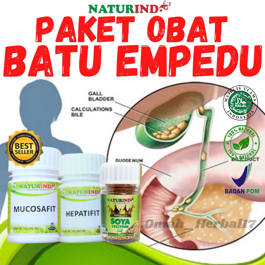 Paket Obat Batu Empedu Obat Batu Empedu Herbal Batu Empedu Obat Herbal Batu Empedu