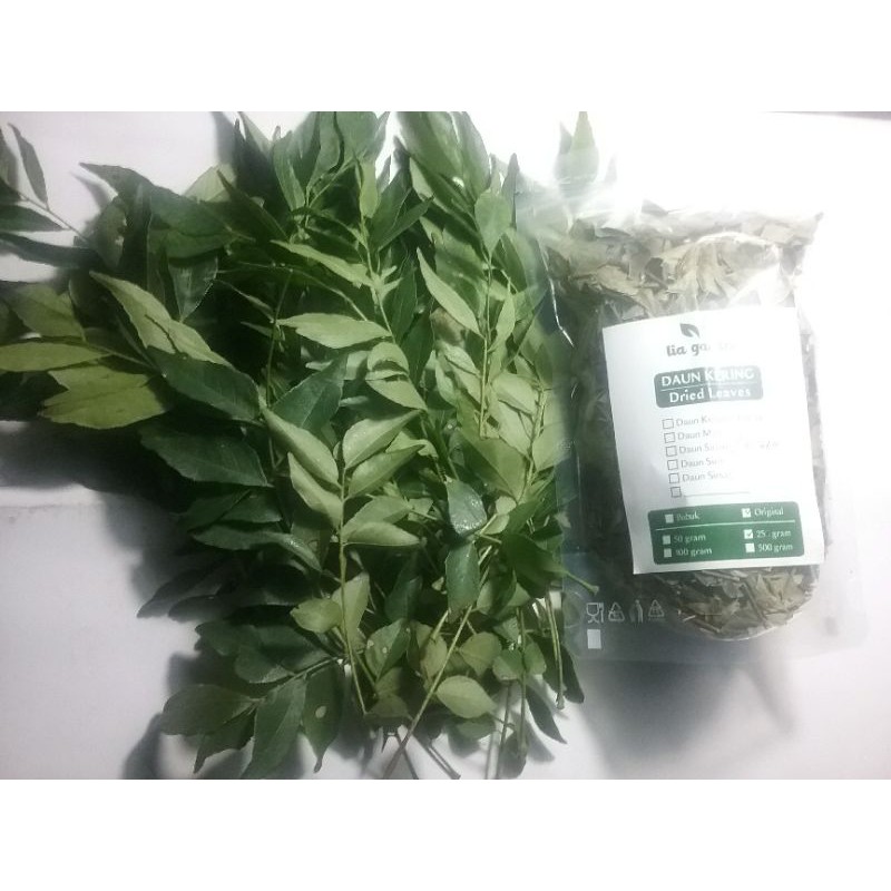 

DAUN SALAM KOJA/ DAUN KARE/ DAUN TEMURU/ DAUN KOROKELING KERING KEMASASAN 25 GRAM