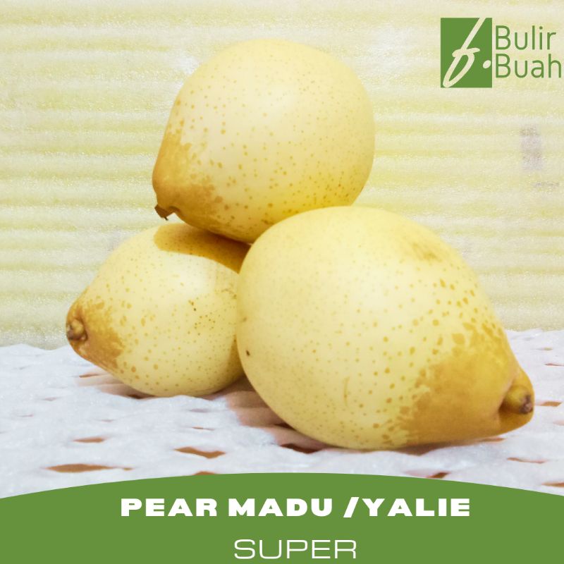 

Buah Segar Pear Madu Pear Yalie/Kg