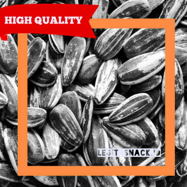 

Kwaci Matahari Rasa Walnut Kuaci Biji Matahari 500 Gram