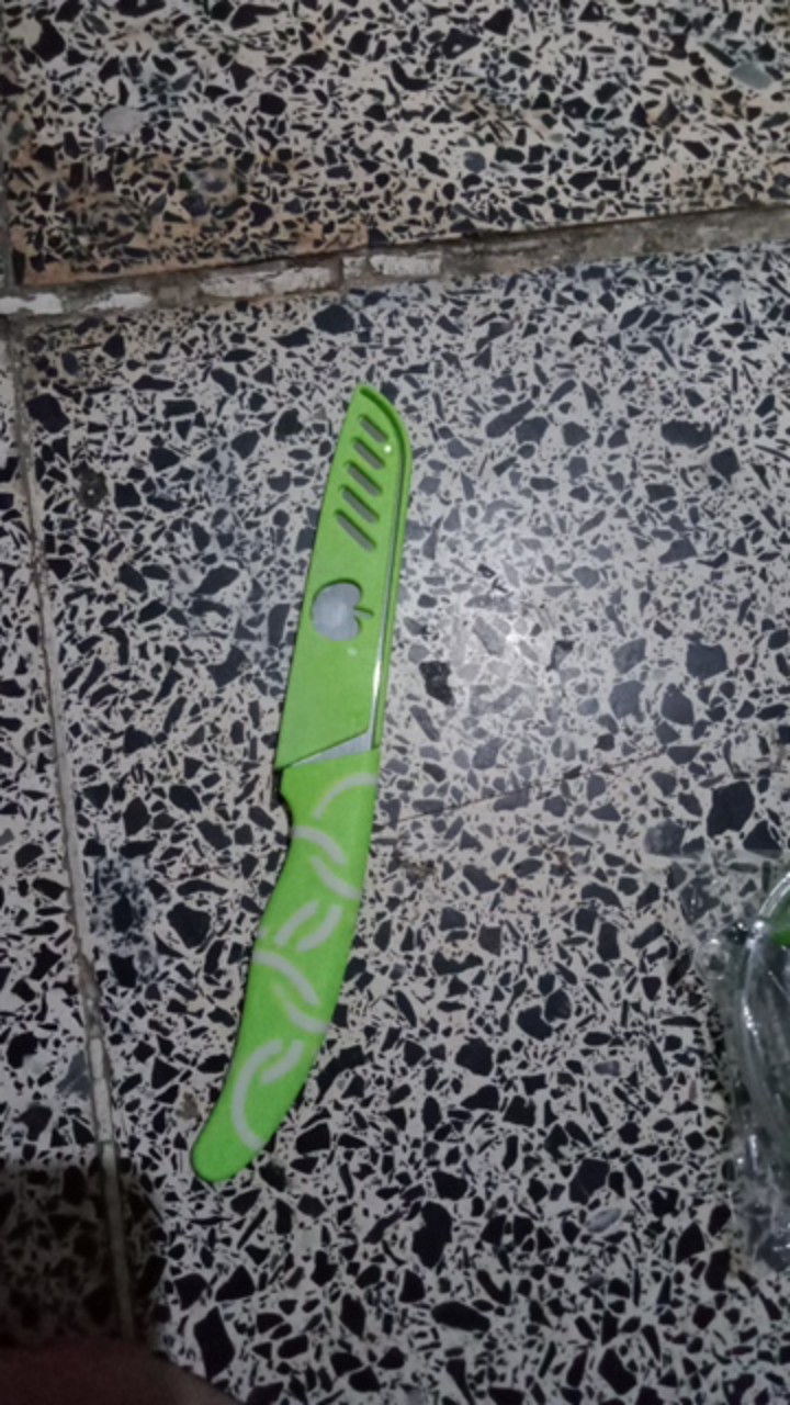 Pisau Apel / Pisau Buah Warna / Pisau Dapur Tajam / Pisau Sarung Murah 10171
